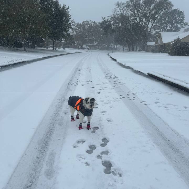 9ebcd407 fbdd 41c6 bda9 1db17e84819b 1737498350772