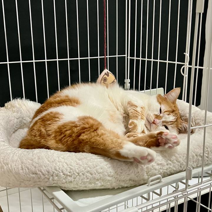 9ebcd425 17af 4607 bdee f2ed3809d101 1772854477474