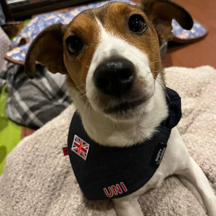 9ebcd431 a820 4d39 b65b 038e4451dfcd 1763339554184