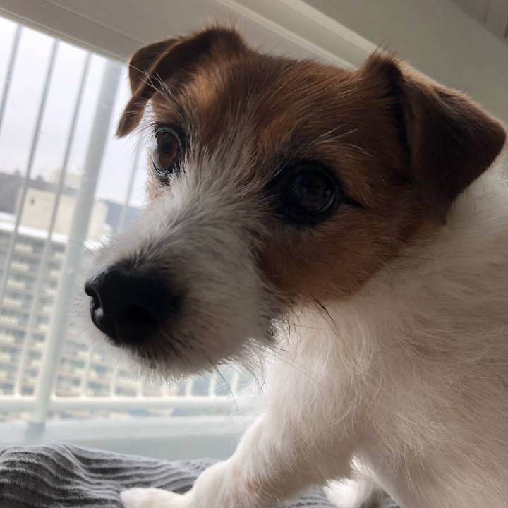 9ebd098d c9c0 416c a718 e4d406ad9024 1585458323433