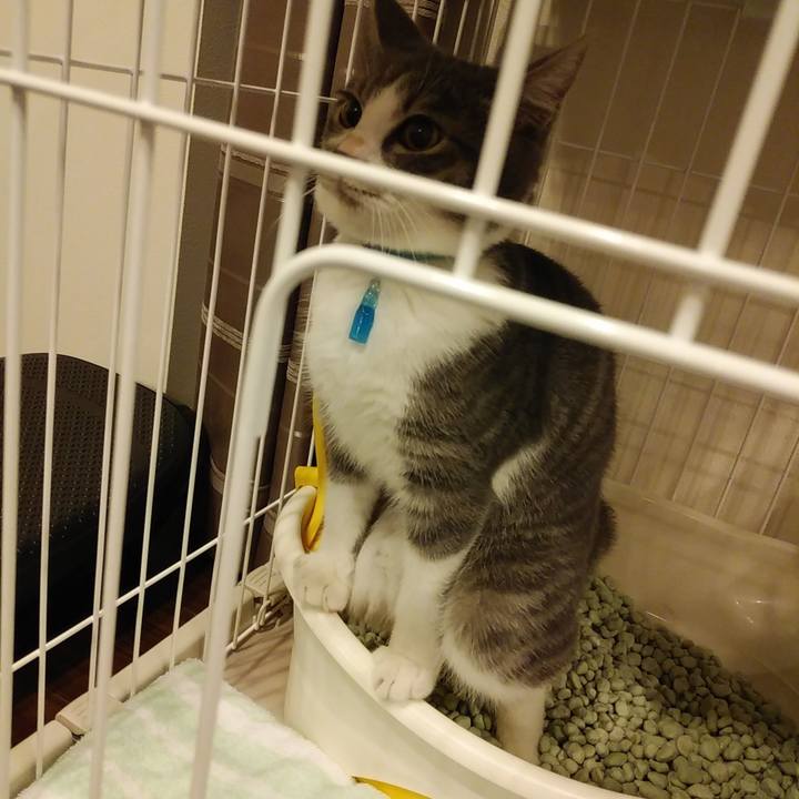 9ebd4b2f d964 47cc 961e 0ff765ba422b 1569421025832