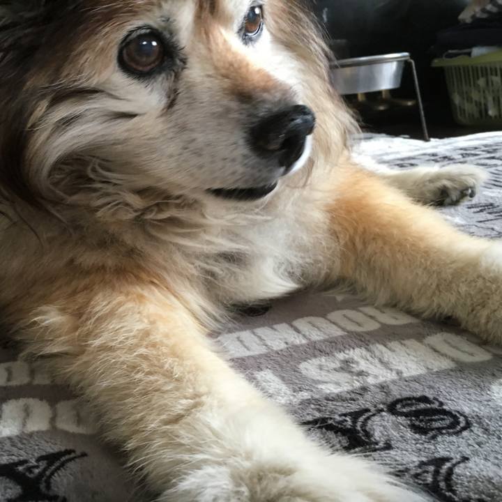 9ebd8d94 6c38 409e ba26 fc9099fba2bd 1599786730159