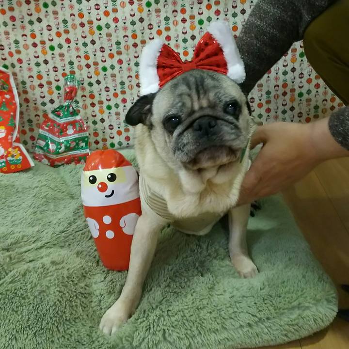 9ebdb637 1c44 4353 918d f948cc042d3f 1545664270265