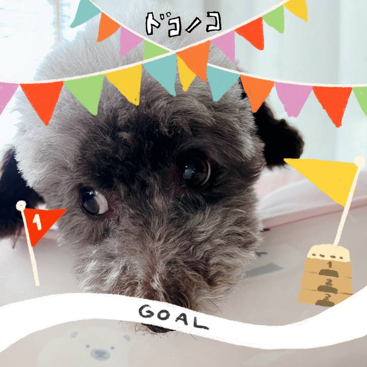 9ebde159 5692 4b9d 82dc 696c169b8e69 1729078281320