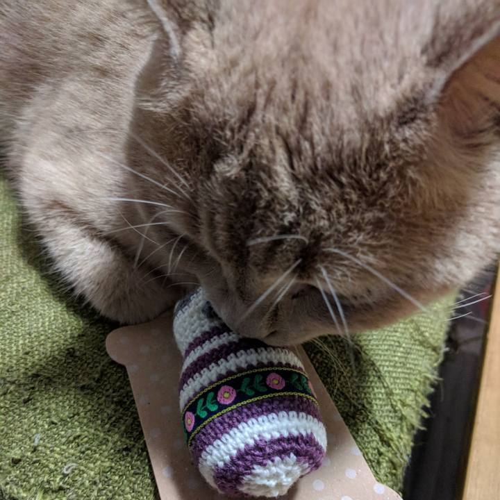 9ebdfef7 f59f 413a 9de7 572c1114191d 1540730300635