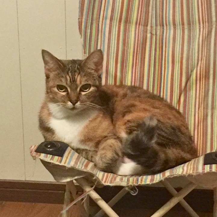 9ebe1d09 e6ea 49c1 92ef 9bcc9de2fc01 1573904535117