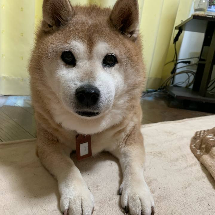 9ebe3487 2ec5 4a3d 82d3 8cfc5a89e151 1602917382328