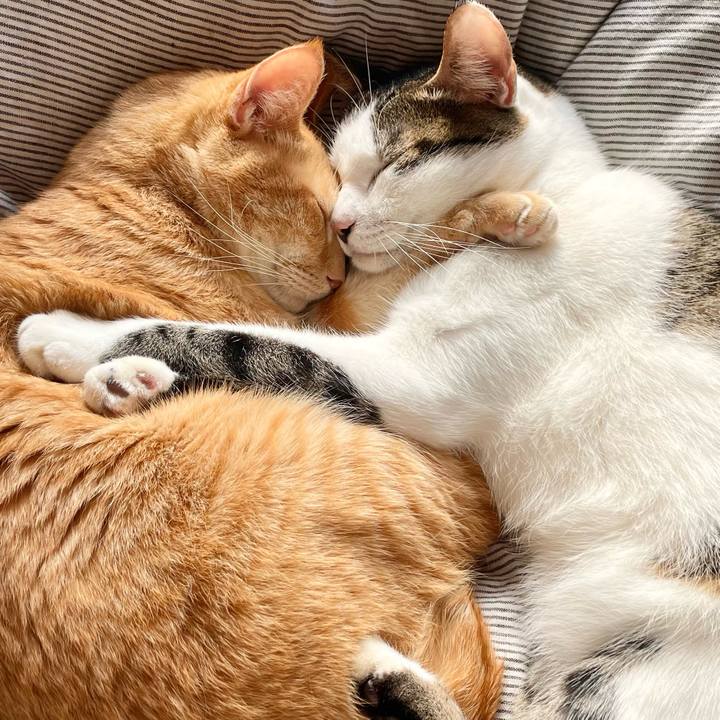 9ebe3cbc 0296 4aa8 b64e 4e3ea1529004 1768022606123