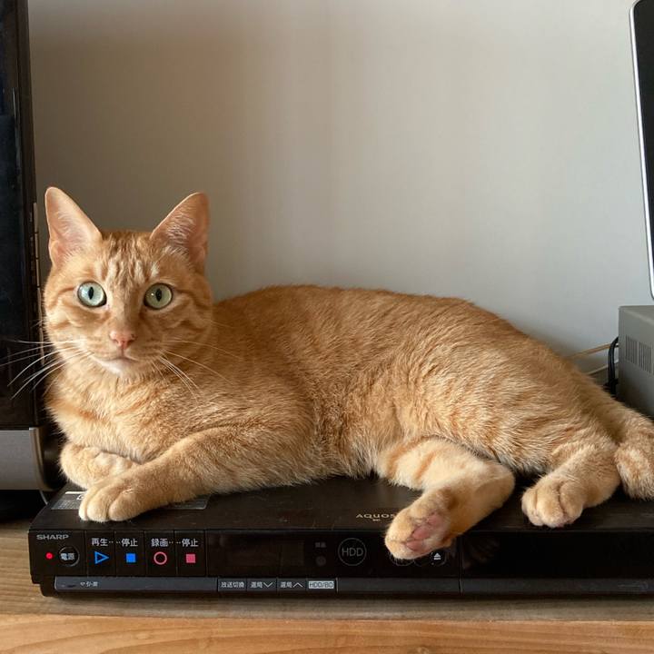 9ebe3e22 46a9 45aa b96c 8bbdedaf5a58 1595551704197