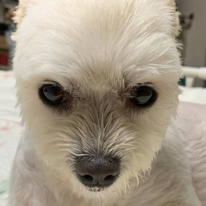 9ebe4ef5 d526 4f2a aa52 5edd634f1a4c 1625233570572