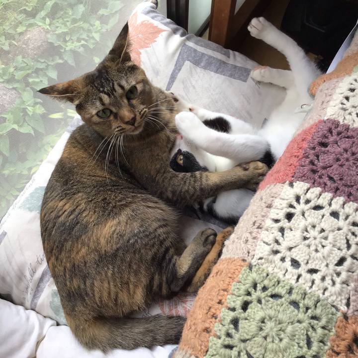 9ebe57a4 105b 4798 825a 4771dac951c9 1631333545283