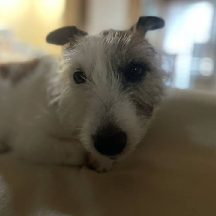 9ebe9f5d db0f 423f 9707 b9dd65401349 1746945217067