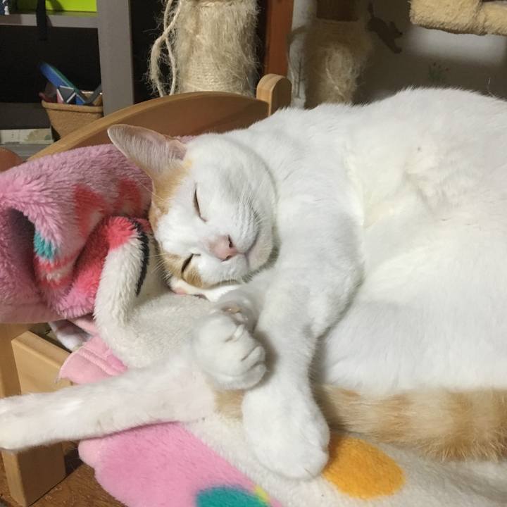 9ebea436 b20b 4d12 bbad 13afb78a0b18 1524321273580