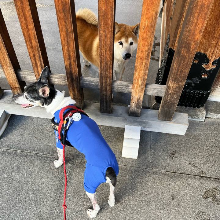 9ebea7a2 c0cb 4f3e 8664 58e13cc5d773 1655021906357