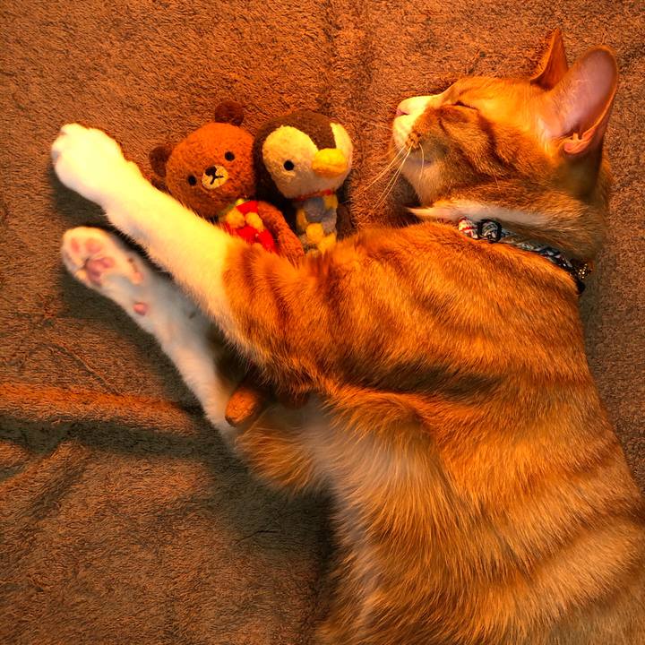 9ebec0fd dadd 4420 8c4c 22efb6a37b94 1574164988648