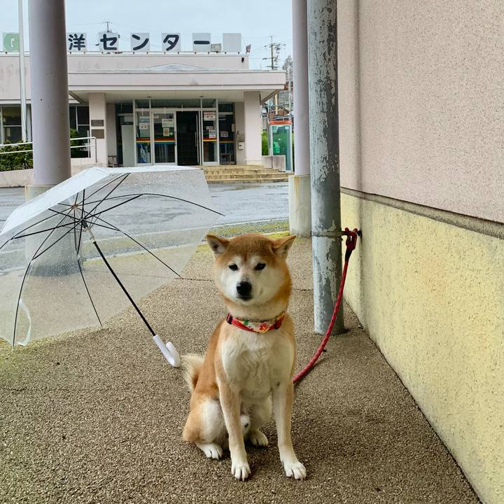 9ebec508 afa3 4e5e 8e41 ad8fdec855d2 1615537103818