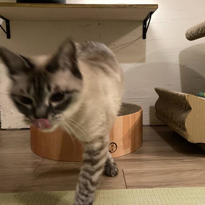 9ebef14a 24ec 4ea0 93d8 fc8e5e751de3 1687392067463