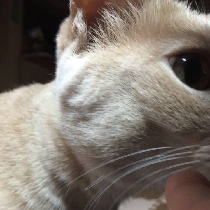 9ebf0048 1f3a 4fe0 8e9c c41a7861affb 1543322479138