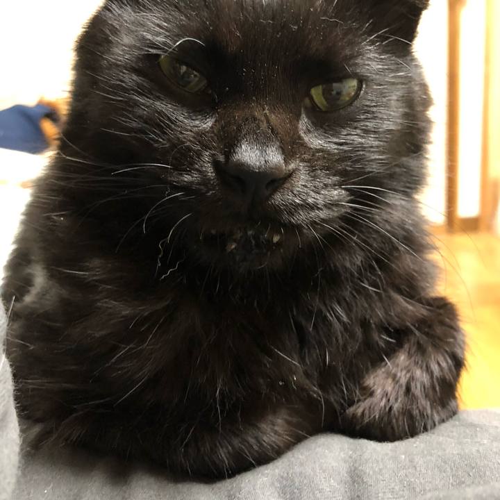 9ebf360a beda 4e36 90d6 186c481d8939 1630846446435