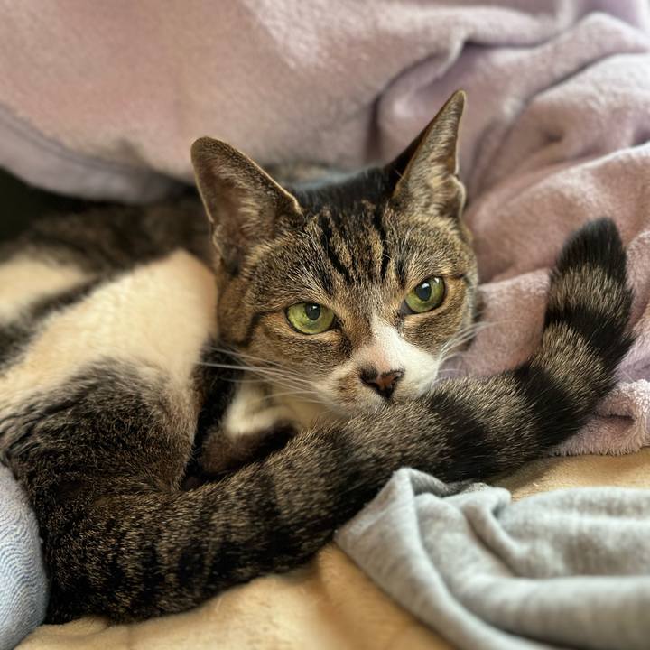 9ebf4ba5 e747 448f a0dd f9dde143e770 1678499493682