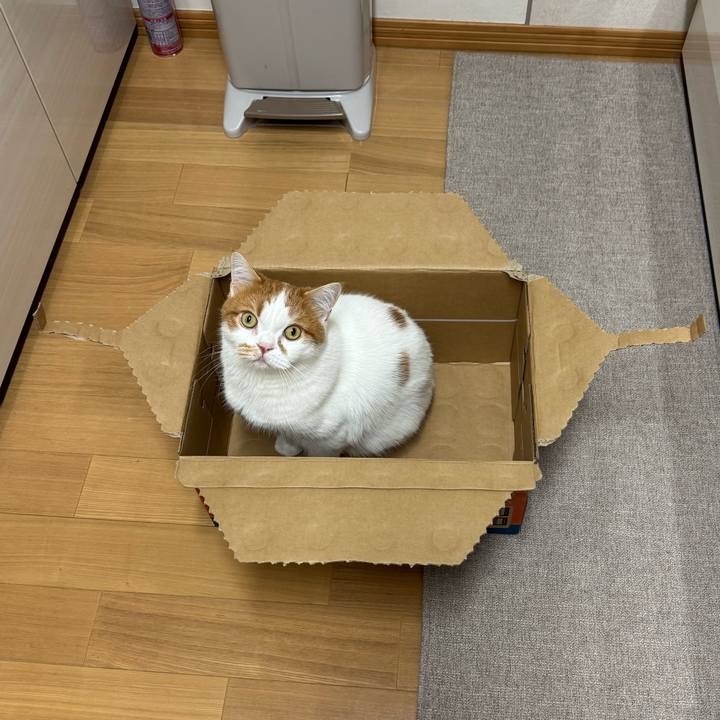 9ebf560d 7f91 4d25 8ec1 fad09cd8b8e6 1761986527426