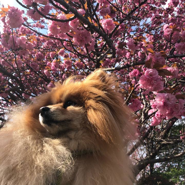 9ebf75ed bb7a 45bc 8655 2e7cc986cda3 1617667724256