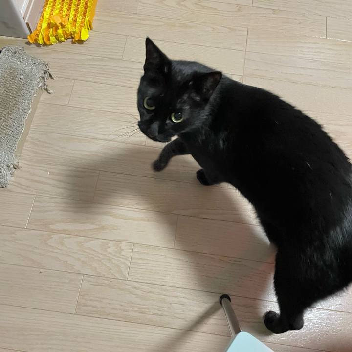 9ebf89da 39bc 4730 8eb0 e48337f720b8 1743769822186