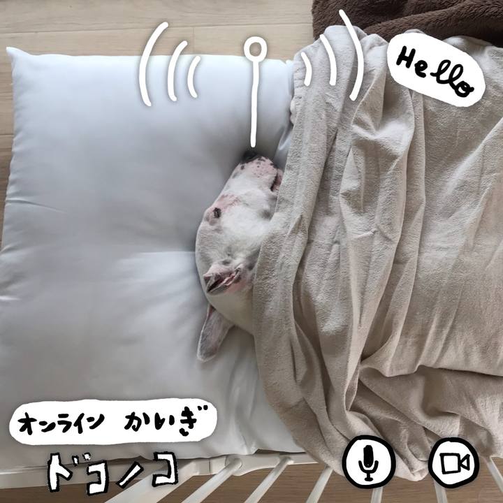 9ebf910a 0431 42d8 994b 685eff310b22 1591081722860