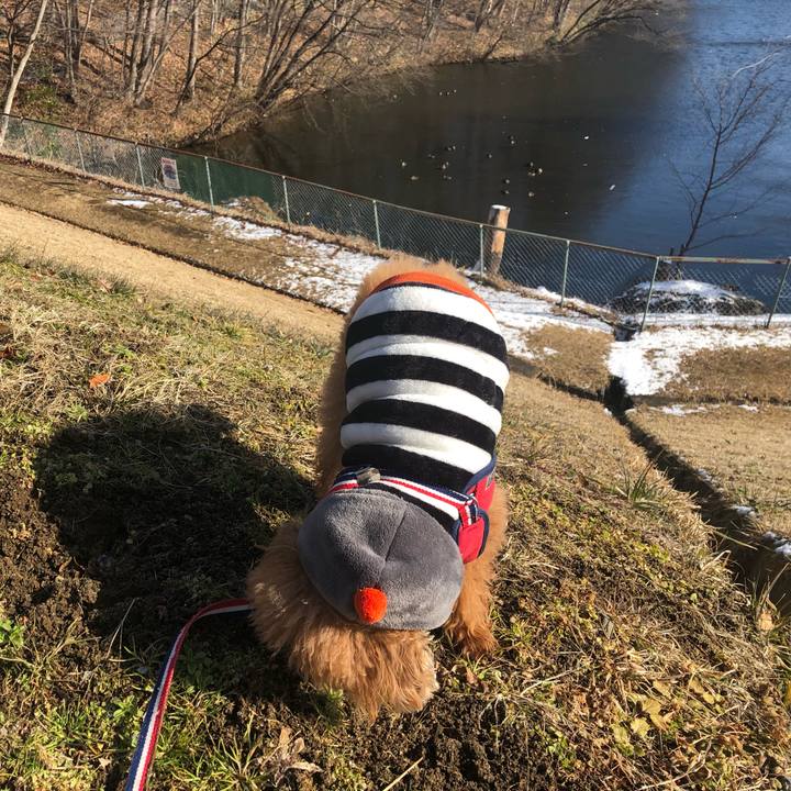 9ebf9e7f b1f7 4473 b463 46ec32af001e 1612065298371