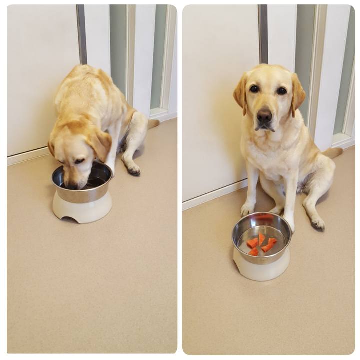 9ebfa04e 0f9d 4f2c 87c9 bec4b5f6aee2 1561078415698