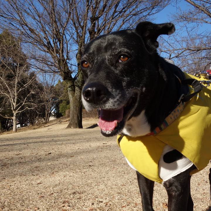 9ebfc221 14f3 486c b56e 1dcb3e049b99 1739924844363