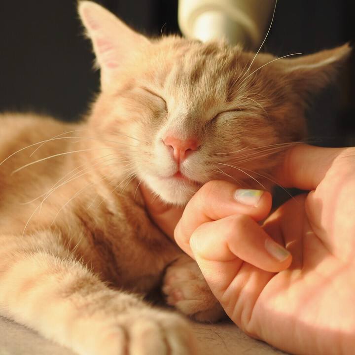 9ebfdac9 a909 404b 890c 3a3ae4dc326b 1548589161489