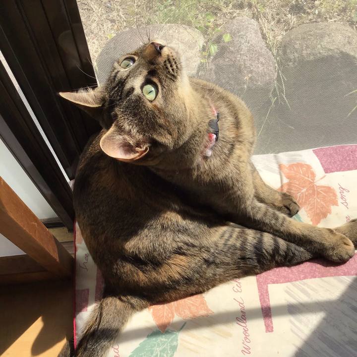 9ec015cd 508e 4168 93a5 083716b4454f 1587023162024