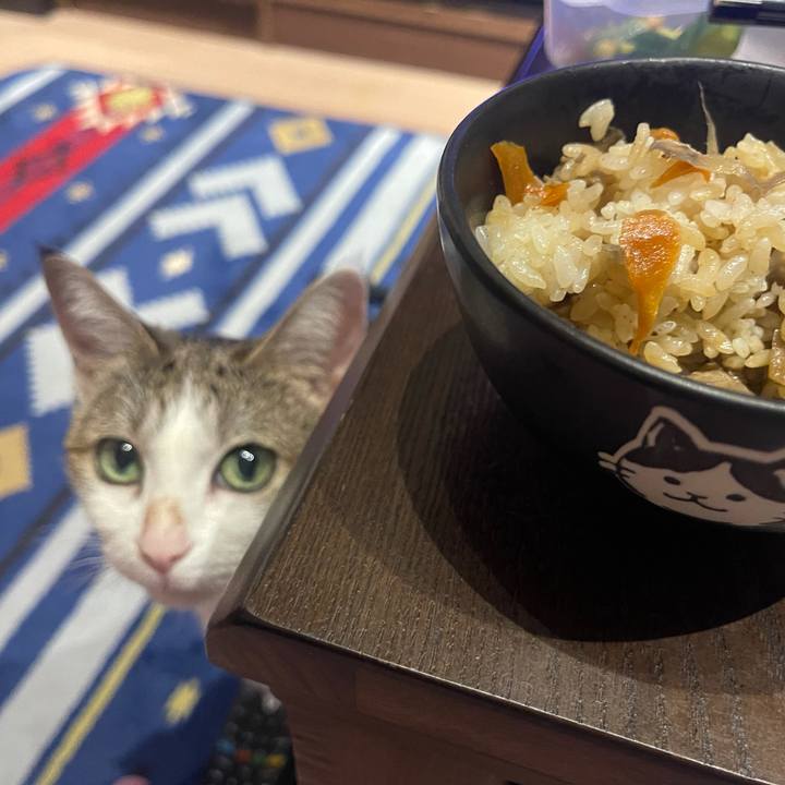 9ec04285 4786 4b5d affc 3e094ec9ee0b 1629197536057