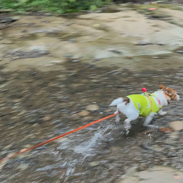 9ec077ac 2dad 4973 92b8 657d563cc55e 1722818591513