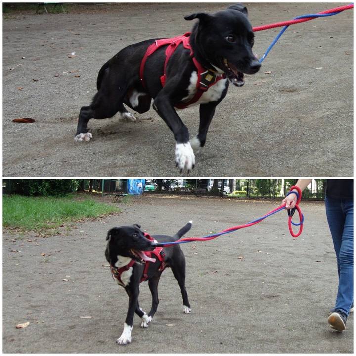 9ec08a9a 61e4 47e4 a15b 37e48d30c2b0 1599696862388