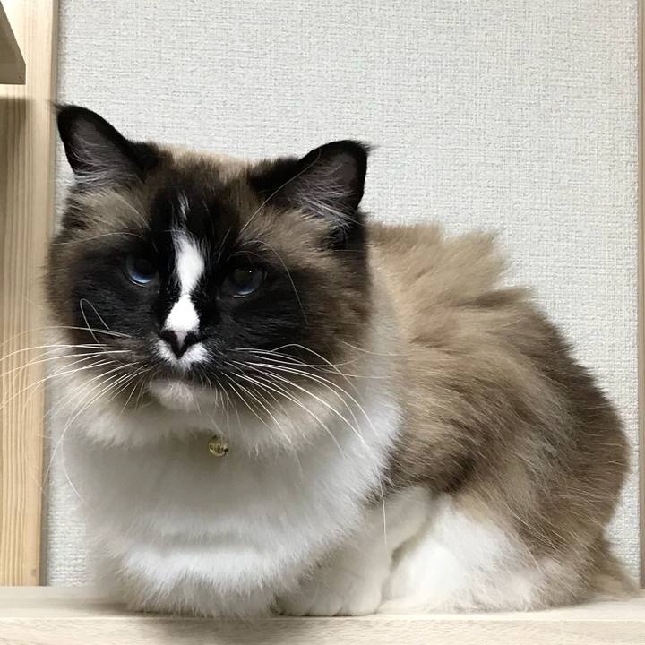 9ec09278 a458 4f6b bc52 76a66cfaa782 1525348011941