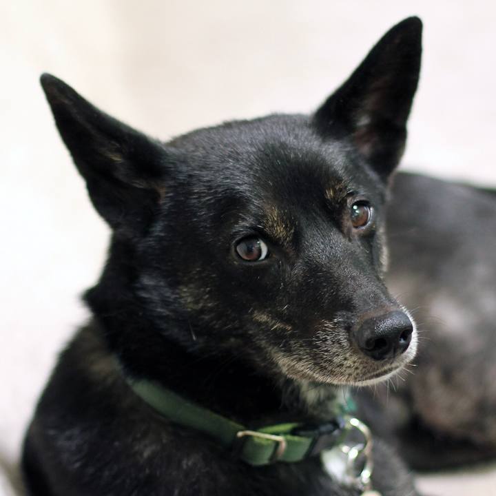 9ec09647 3585 4f6c a2da 2fce19ce8172 1603273971614