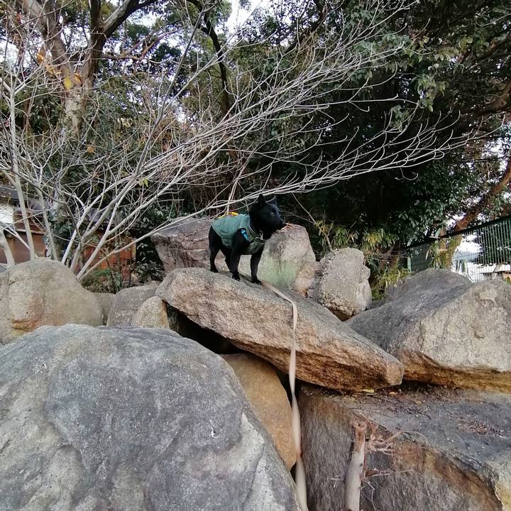 9ec0d3a4 0a09 4de9 aecd f0738b931004 1672352978292