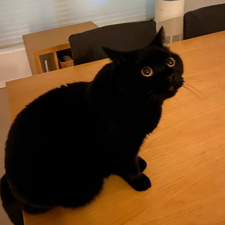 9ec11b0d 7d82 4deb 9f69 0fa13608a1c9 1630065281334