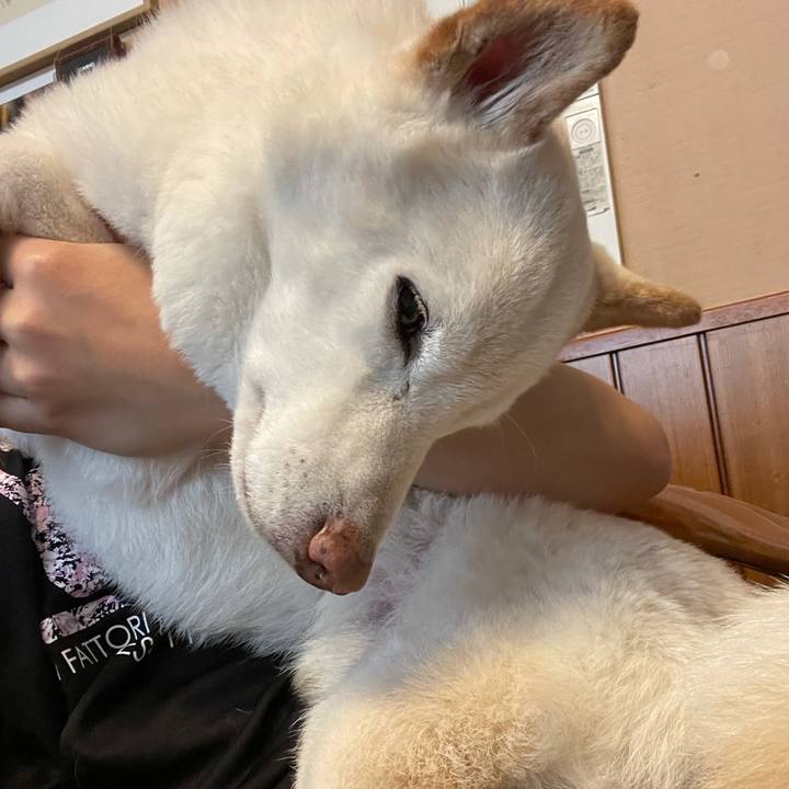 9ec134d2 ee1f 4b58 a2ab 11a4d1a4fa75 1637163890540