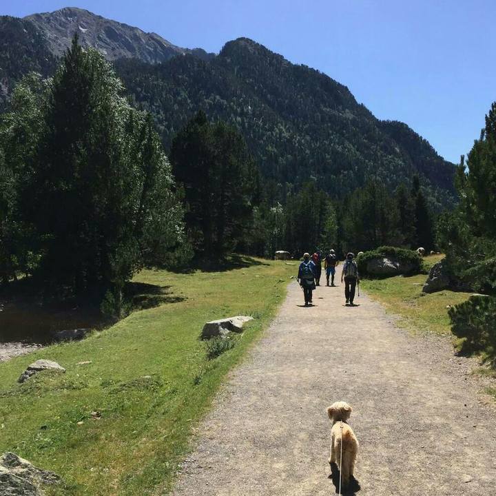 9ec13bad 03ca 4dd9 aa8c 91cc536c9298 1564670720452