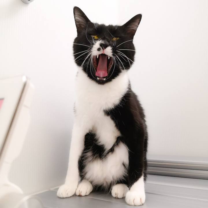 9ec14d81 2213 4d20 a06a 860a4d3d5eec 1545568178909