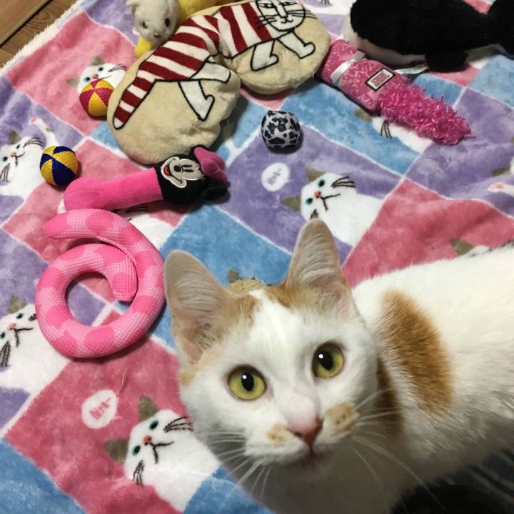 9ec1953c 40c9 4402 9623 5ca7ebf514ea 1521377849232