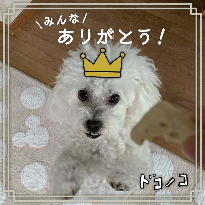 9ec1da98 126c 4bd1 bf69 ff57646f0867 1623917044543