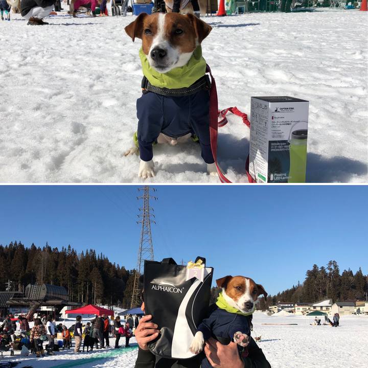 9ec204e7 255a 42ed aae5 f24750de0703 1551004589869