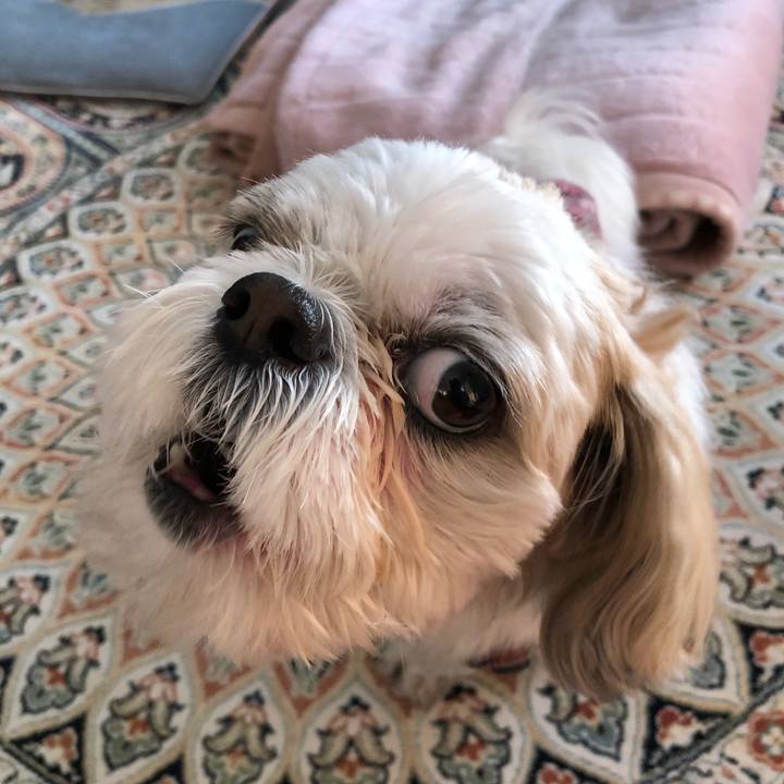 9ec21b6e 8549 4fa6 80cd 730bf16d0a80 1518126076370