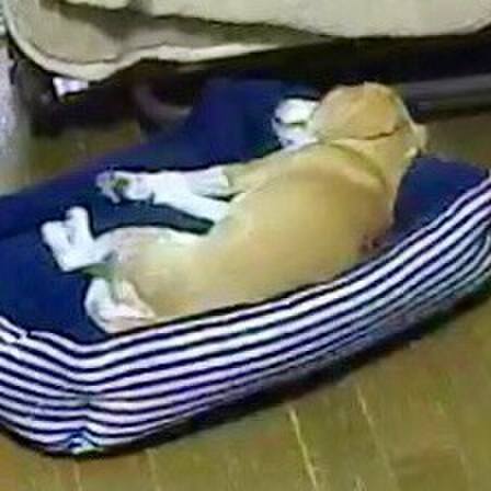 9ec2384f f7e3 44d0 84eb d2f87f7c433d 1559276043233