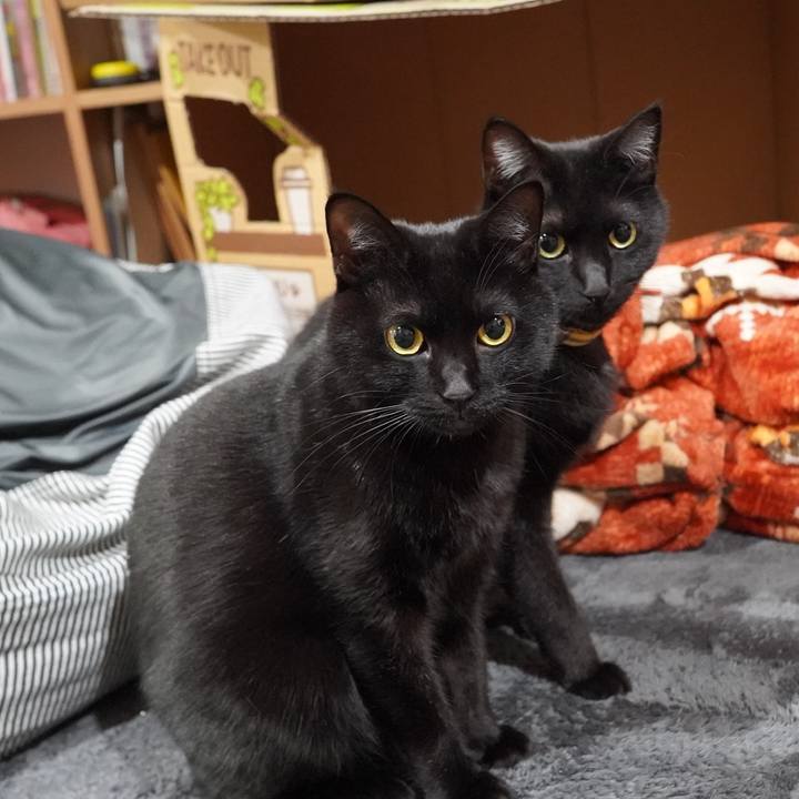 9ec24387 f3d1 4fc8 ace5 cea9296ca0cf 1606646912444