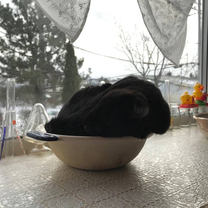 9ec276c4 a2a9 44f6 bdf8 129ca17233e7 1579097801765